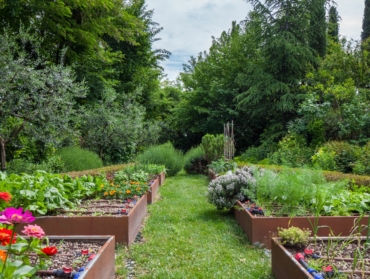 Comment créer un jardin nourricier chez vous ?