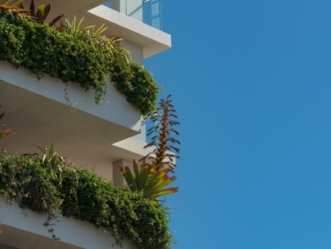 Végétalisation urbaine contre les îlots de chaleur