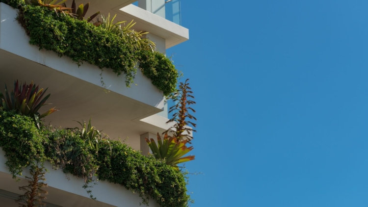 Végétalisation urbaine contre les îlots de chaleur
