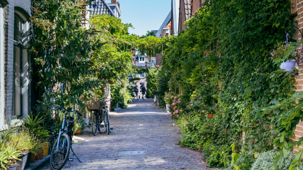 Végétalisation urbaine Végétalisation urbaine dans une rue résidentielle avec façades couvertes de plantes grimpantes, espaces verts abondants et environnement favorisant la biodiversité et le rafraîchissement urbain.