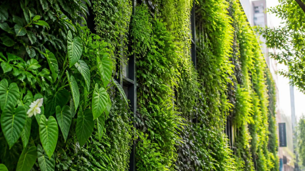 Mur végétal Mur végétal anti-bruit extérieur installé sur une façade urbaine, solution végétalisée réduisant les nuisances sonores, améliorant le confort acoustique et valorisant durablement l'environnement.
