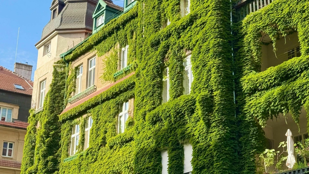 Façade végétalisée Façade végétalisée recouverte de plantes grimpantes sur un immeuble, intégration du végétal à l'architecture pour améliorer l'isolation naturelle, préserver les façades et embellir durablement l'environnement urbain.