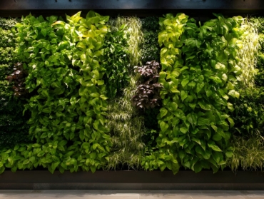 Le mur végétalisé anti-bruit préserve l&rsquo;intimité des espaces premium