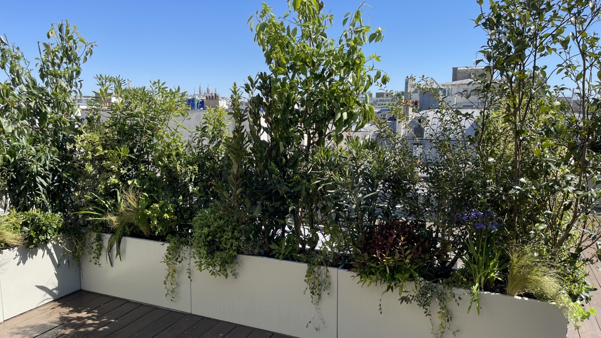 Le Bristol Paris, terrasse paysagée avec piscine dans le 8ᵉ arrondissement, jardinières contemporaines et vue sur les toits de Paris.