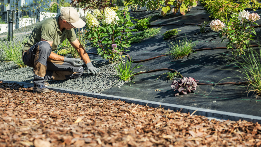 Paysagiste Paysagiste haut de gamme réalisant un aménagement paysager avec paillage minéral, plantation d'arbustes et système d'irrigation intégré pour un jardin de prestige.