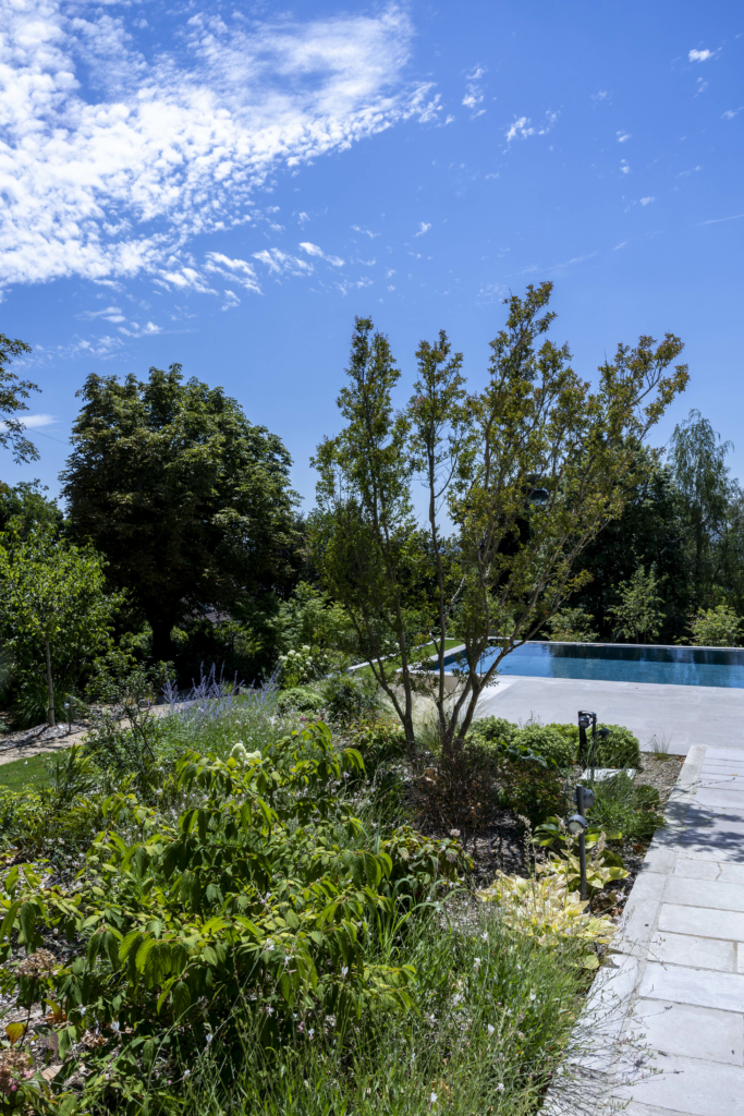 Jardin d'une résidence à Montmorency. Réalisation par le paysagiste Le Monde des Jardins. 10 juillet 2026. © Laurent Guichardon. Jardin paysager haut de gamme avec végétation luxuriante, arbres, massifs fleuris, allée en pierre naturelle et piscine extérieure.